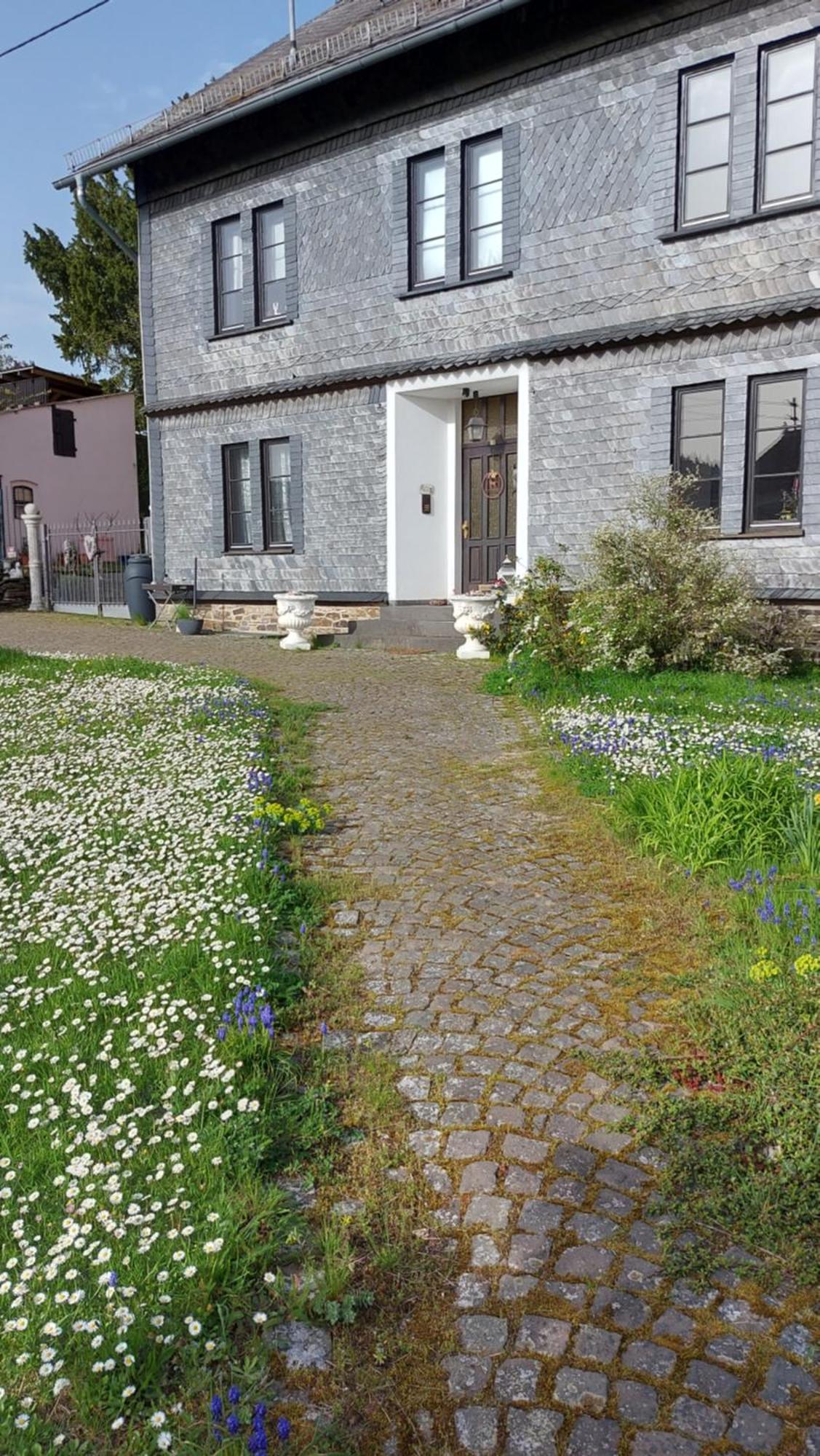 Zum Alten Pfarrhaus Damscheid Экстерьер фото
